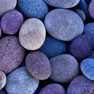 Meet your Posher, Myah